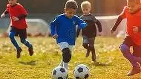 体育明星与成功人士同属何类？